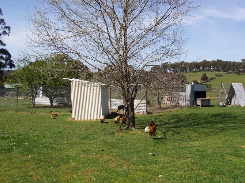 1289 Old Melbourne Road, Gordon VIC 3345