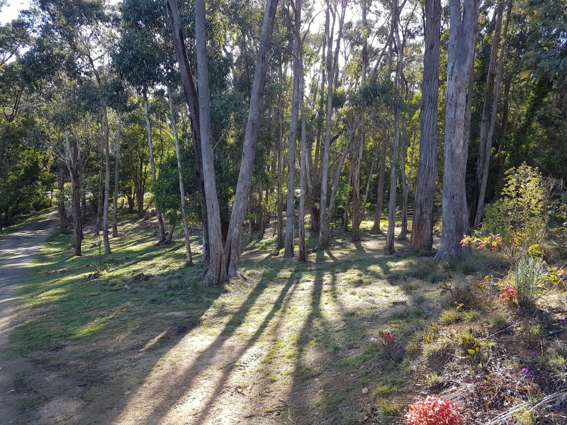 31 Cowans Drive, Dales Creek VIC 3341