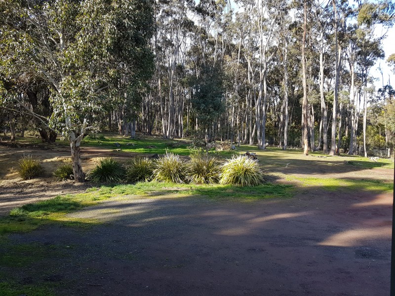 31 Cowans Drive, Dales Creek VIC 3341