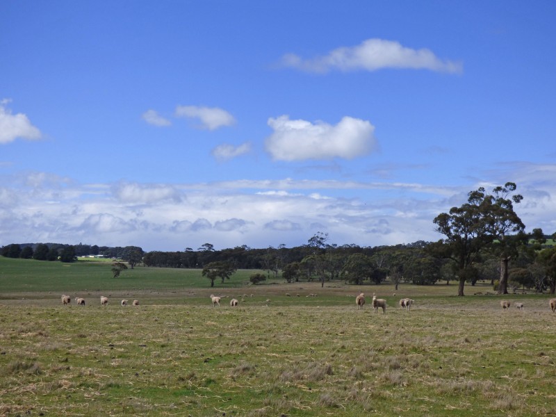 50 Sullivans Road, Millbrook VIC 3352