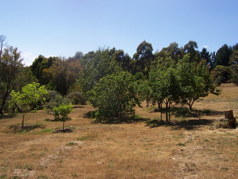 4 Grose Street, Gordon VIC 3345