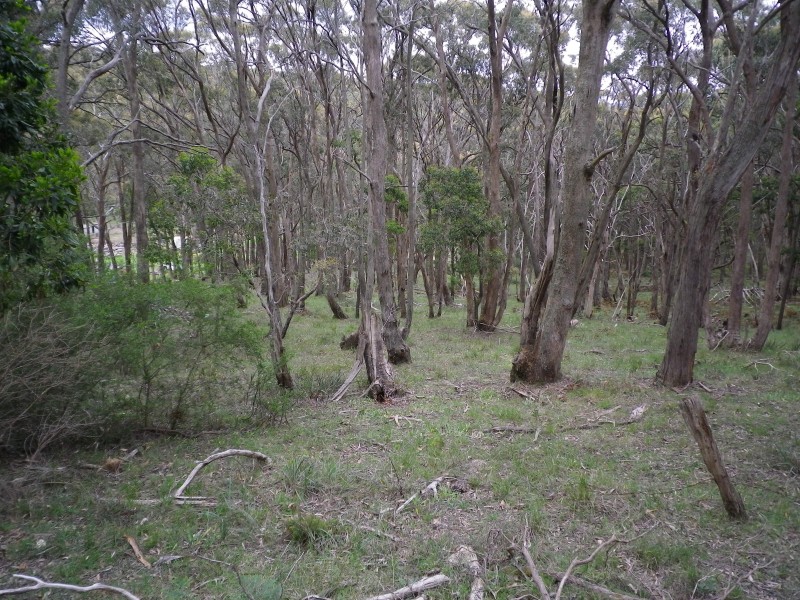 Lot 12,  Trounces, Mount Egerton VIC 3352