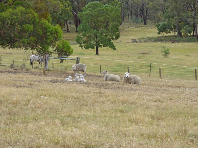 707 Jones Road, Beaufort VIC 3373