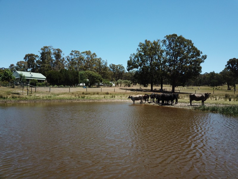 707 Jones Road, Beaufort VIC 3373