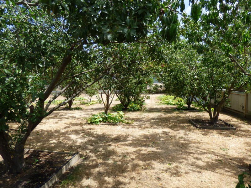 Lot 1, Corner Glenelg highway and O’Connor Street, Scarsdale VIC 3351