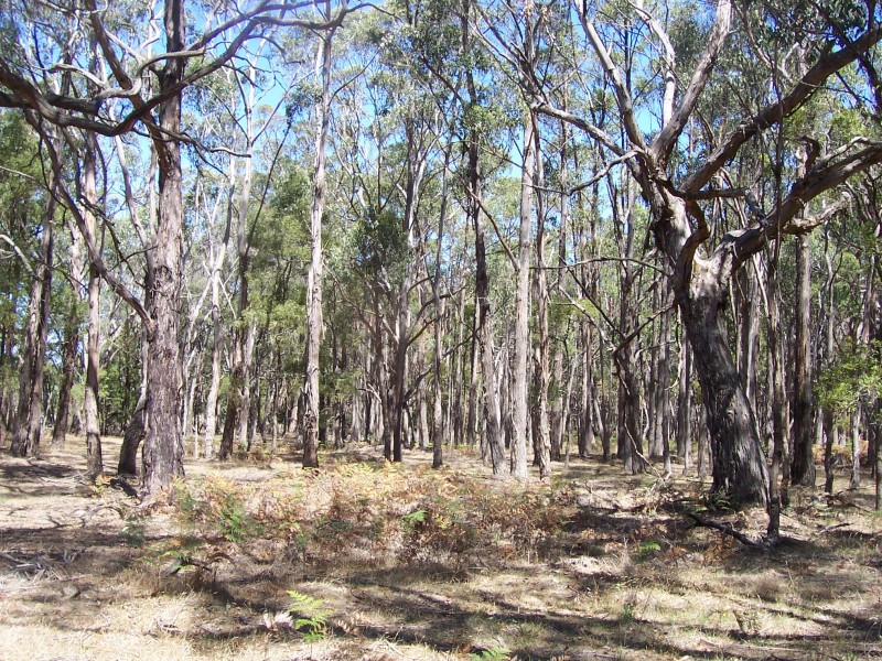 Lot 2,  calways and Moorabool West Road, Gordon VIC 3345