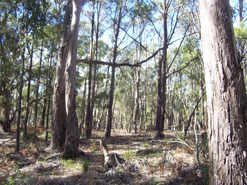 Lot 1,  Moorabool West Road, Gordon VIC 3345