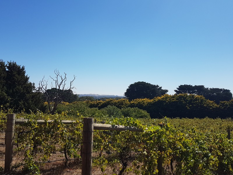 Lot 5C, 174  Moorabool West Road, Gordon VIC 3345