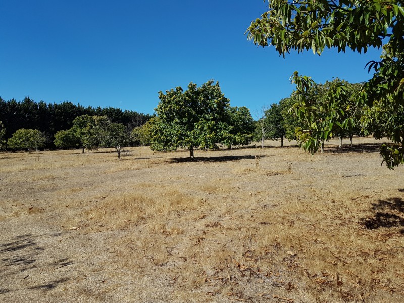 Lot 5C, 174  Moorabool West Road, Gordon VIC 3345