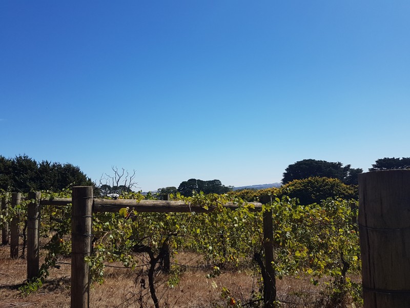 Lot 5C, 174  Moorabool West Road, Gordon VIC 3345