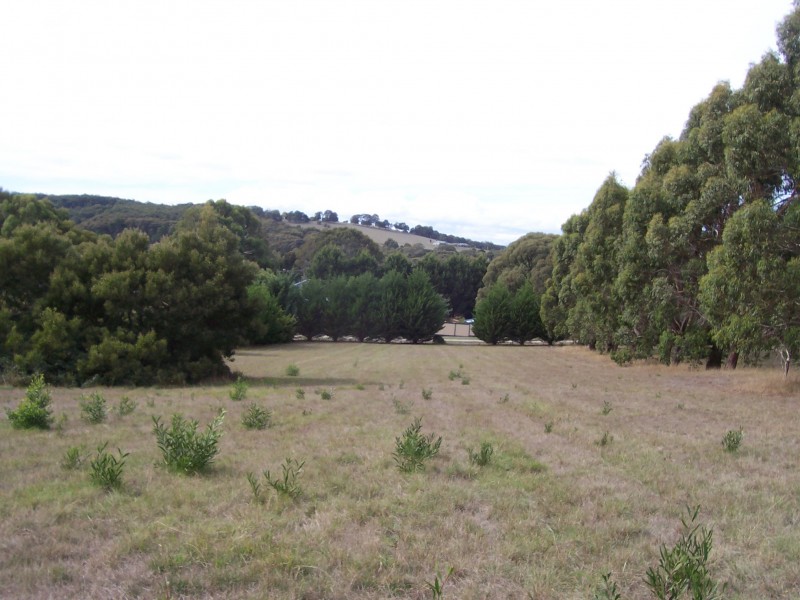 3 Rosenow St, Gordon VIC 3345