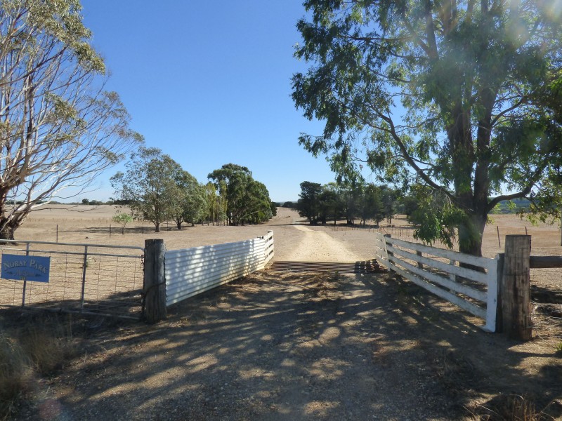 313 Orrells Road, Elaine VIC 3334