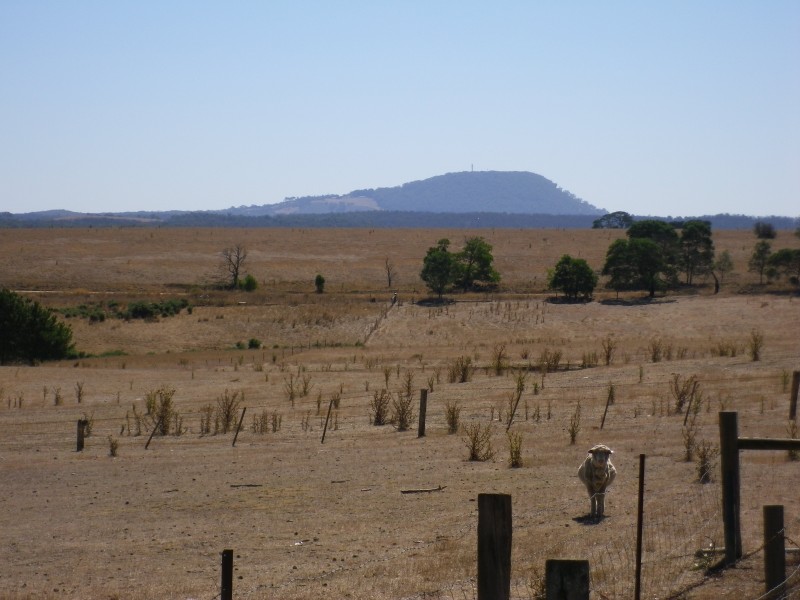 313 Orrells Road, Elaine VIC 3334