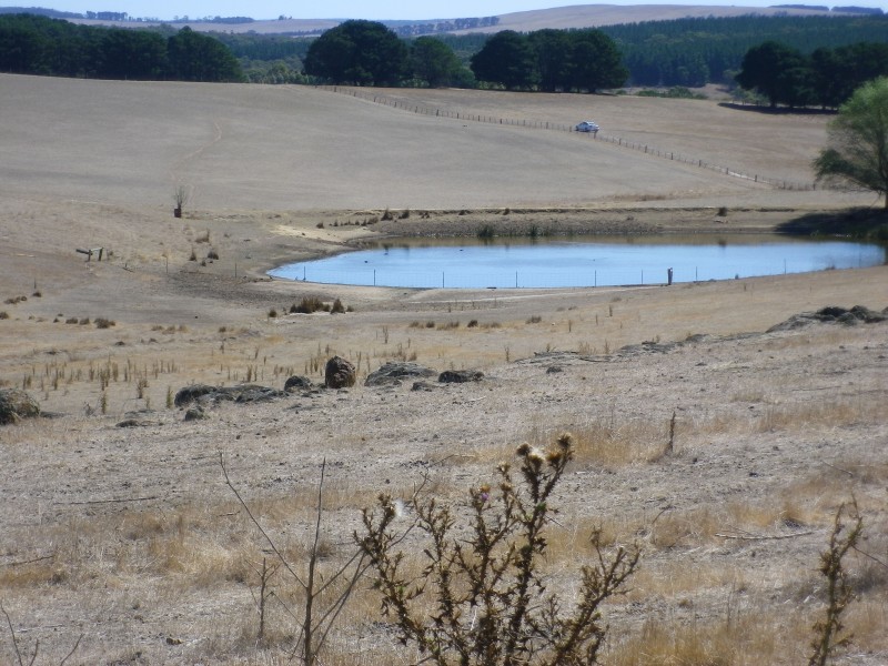 313 Orrells Road, Elaine VIC 3334