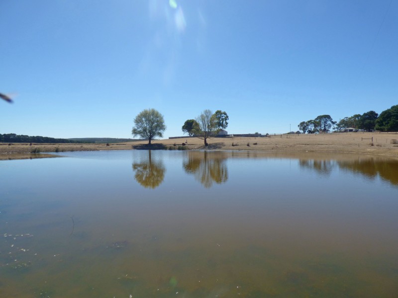 313 Orrells Road, Elaine VIC 3334