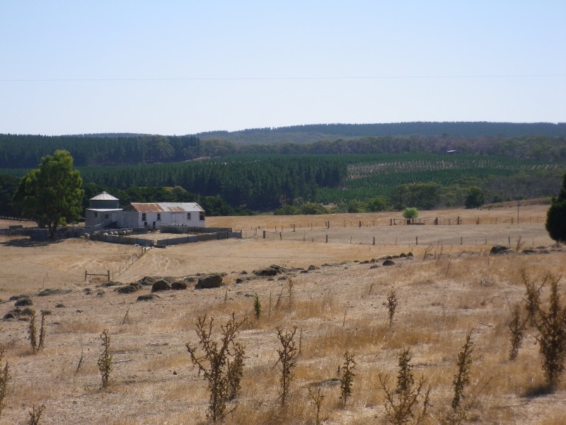 313 Orrells Road, Elaine VIC 3334