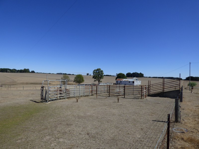 313 Orrells Road, Elaine VIC 3334