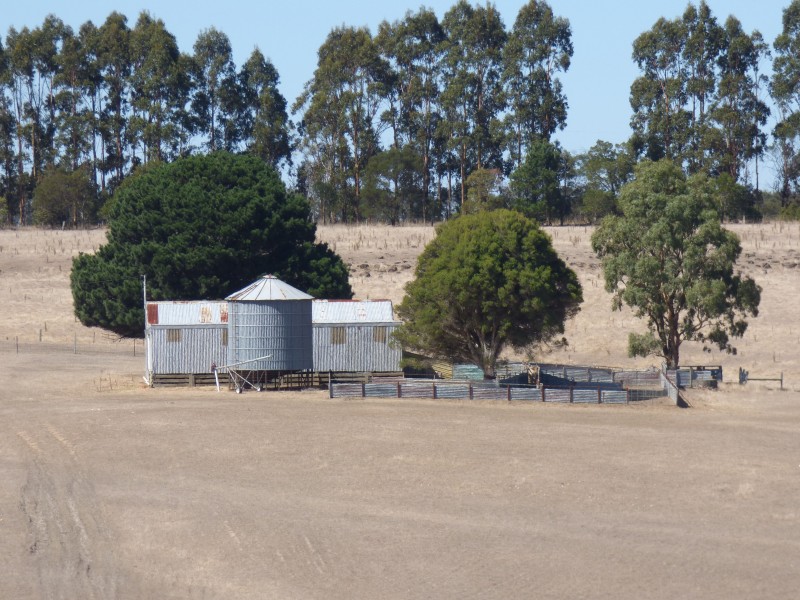 313 Orrells Road, Elaine VIC 3334