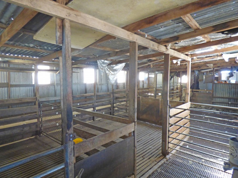 313 Orrells Road, Elaine VIC 3334