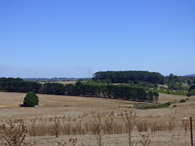 313 Orrells Road, Elaine VIC 3334