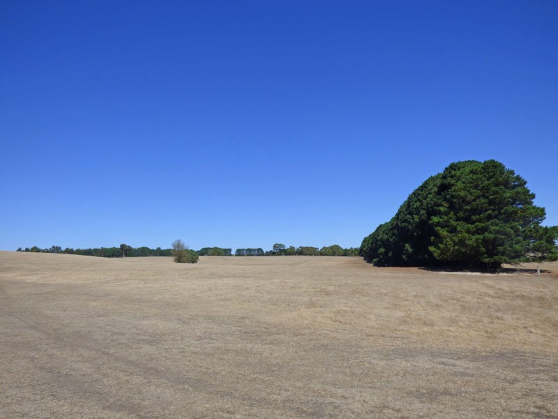 313 Orrells Road, Elaine VIC 3334