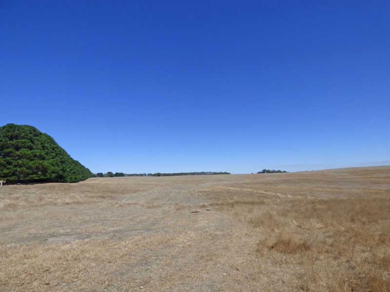 313 Orrells Road, Elaine VIC 3334