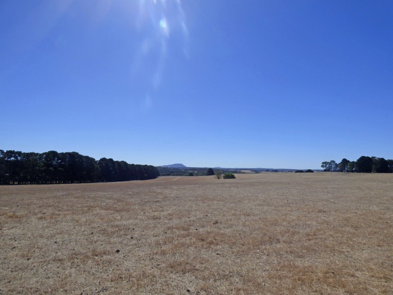 313 Orrells Road, Elaine VIC 3334