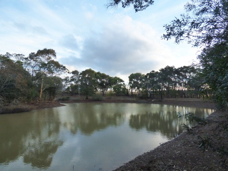 211 State Forest Road, Ross Creek VIC 3351