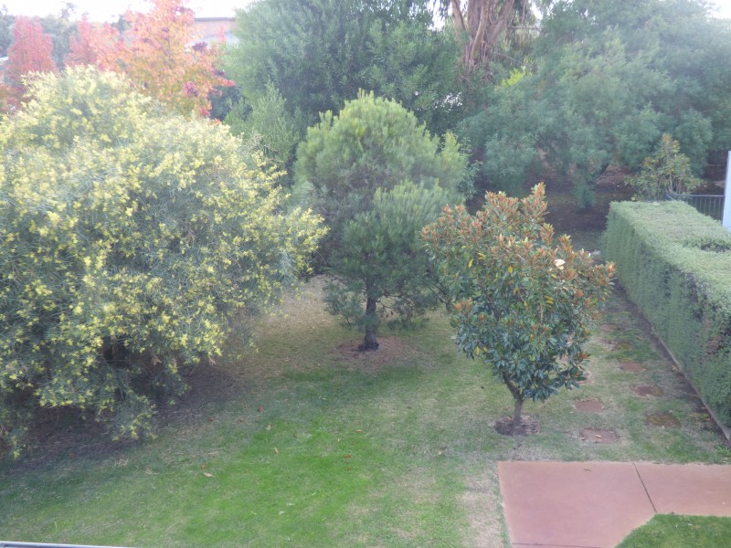 27 Gracefield Drive, Brown Hill VIC 3350