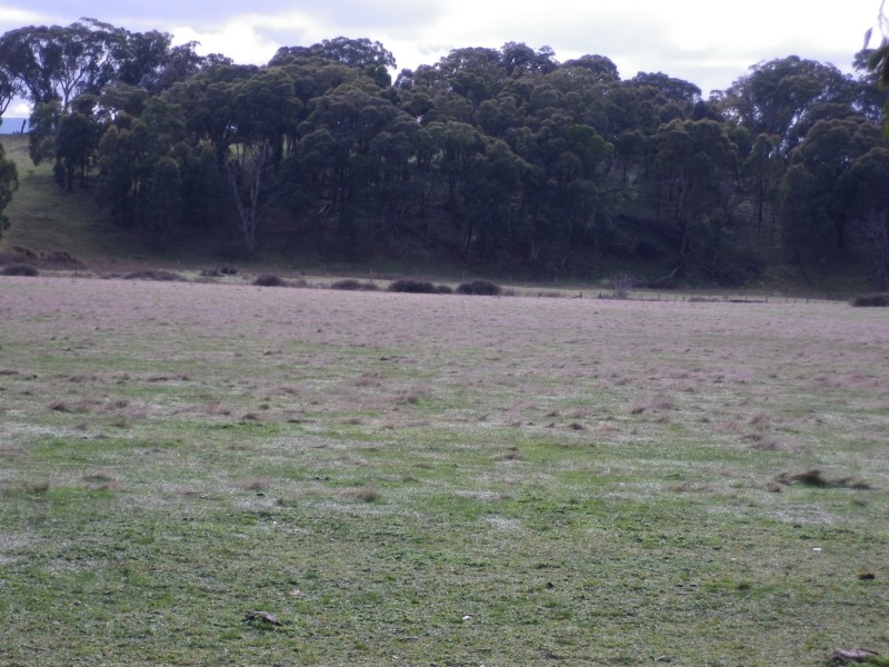 C.A B5 Old Melbourne Road, Gordon VIC 3345