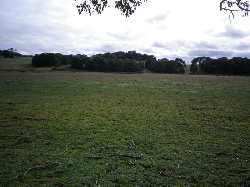 C.A B5 Old Melbourne Road, Gordon VIC 3345
