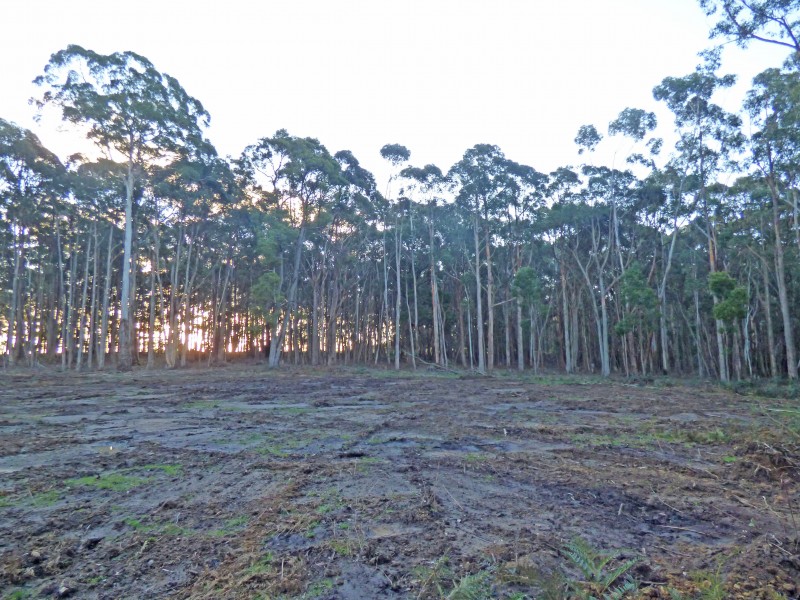 Lot 6A, Haydens Hill Road, Gordon VIC 3345