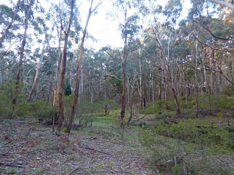 Lot 6A, Haydens Hill Road, Gordon VIC 3345