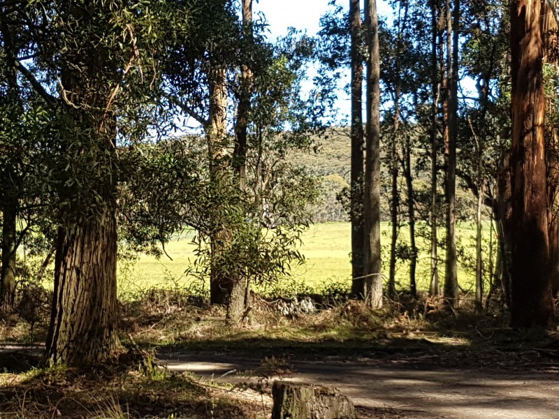 26 Herrods Lane, Blakeville VIC 3342