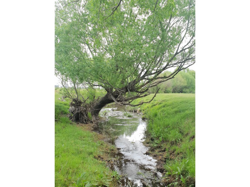 2890 Creswick-Newstead Road, Smeaton VIC 3364