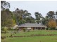 14 Whitfields Lane, Beaufort VIC 3373
