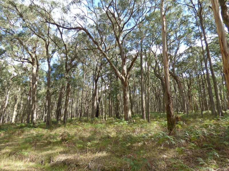 Lot 2,   Calways Lane, Gordon VIC 3345