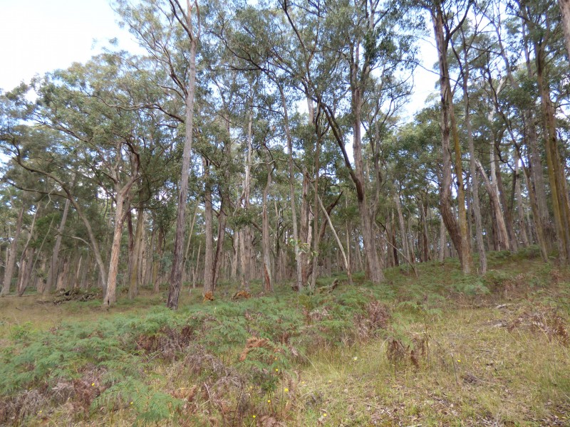 Lot 2,   Calways Lane, Gordon VIC 3345