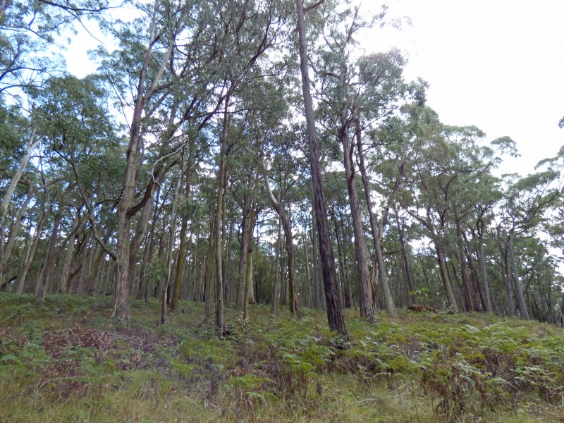 Lot 2,   Calways Lane, Gordon VIC 3345