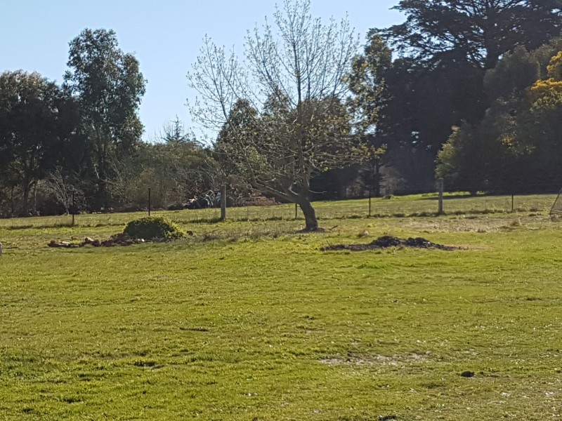 19 Lyndhurst Street, Gordon VIC 3345