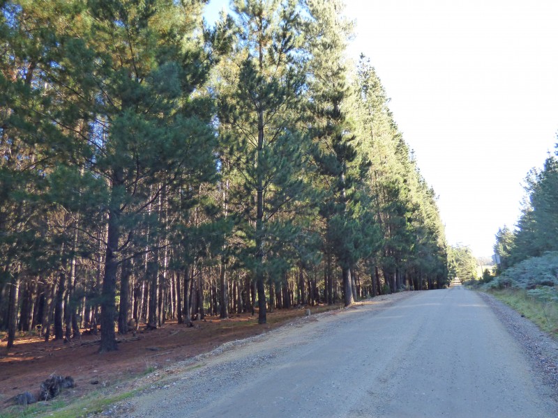 21 Abbington Park Road, Gordon VIC 3345