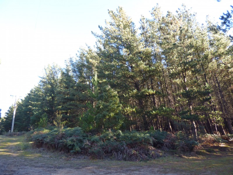 21 Abbington Park Road, Gordon VIC 3345