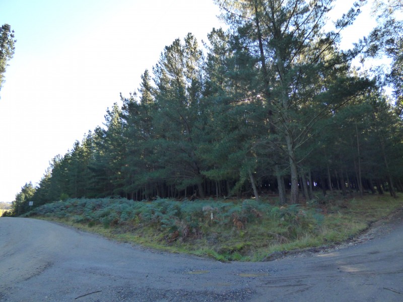 2 Abbington Park Road, Gordon VIC 3345