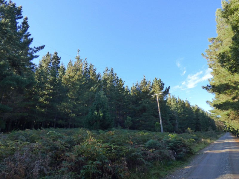 2 Abbington Park Road, Gordon VIC 3345