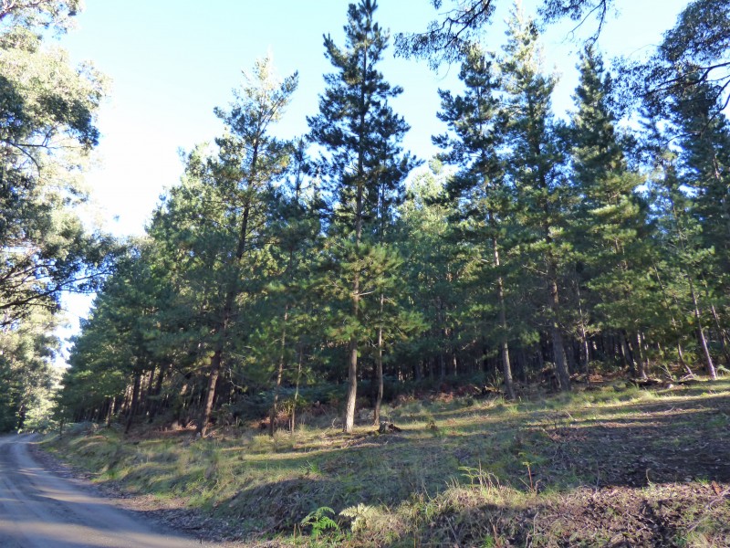 2 Abbington Park Road, Gordon VIC 3345