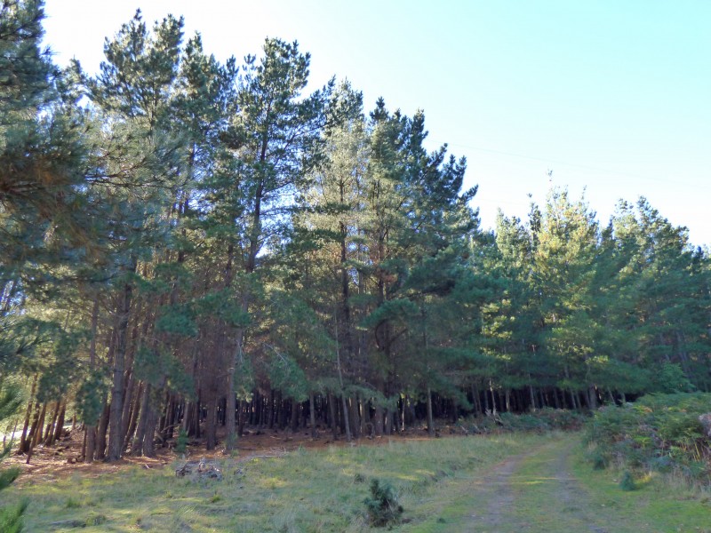 2 Abbington Park Road, Gordon VIC 3345