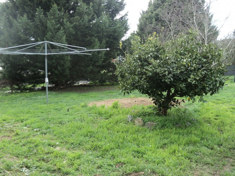 46 Jopling Street, Ballan VIC 3342