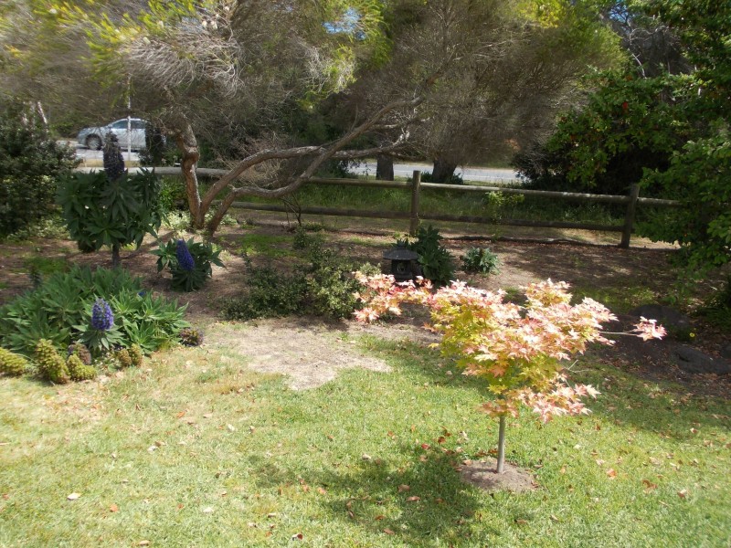 536 Melbourne Road, Blairgowrie VIC 3942