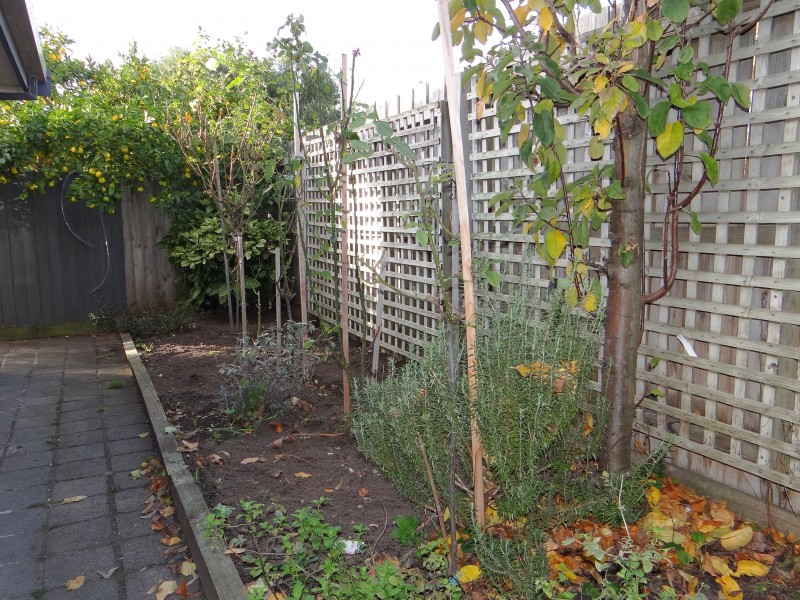 28 Braidwood Avenue, Rosebud VIC 3939