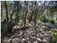 5 Harleian Street, Blairgowrie VIC 3942